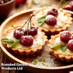 Cherry 'Sylvia' (Mini Fruit Tree) 12 Cherry 'Sylvia' (Mini Fruit Tree) -Green Us Garden CHER T10442 F