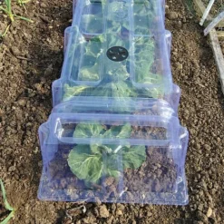 Mini Greenhouse Cloche 7 Mini Greenhouse Cloche -Green Us Garden CLOC V69804 B