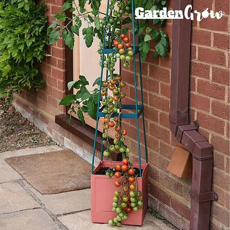 Garden Grow Self Watering 4 Tier Tomato Tower 1 Garden Grow Self Watering 4 Tier Tomato Tower