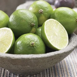 Citrus Tree Collection -Green Us Garden Lime