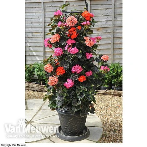 Tower Pot™ Black & Gold 5 Tower Pot™ Black & Gold - Image 5