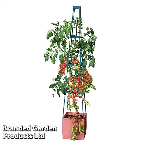 Garden Grow Self Watering 4 Tier Tomato Tower 4 Garden Grow Self Watering 4 Tier Tomato Tower - Image 4